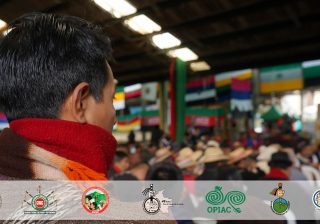 CUMBRE DE PUEBLOS ORIGINARIOS: ¡Este llamado es de nosotros y de ustedes también!