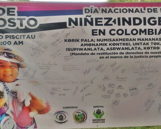 Día nacional de la niñez indígena en Colombia