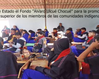 Reglamentación del Fondo “Álvaro Ulcué Chocué” de que trata la Ley 1986 de 2019