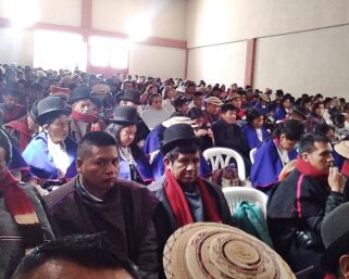 Propuestas para criterios y procedimientos de selección, vinculación, permanencia y/o retiro de etnoeducadores